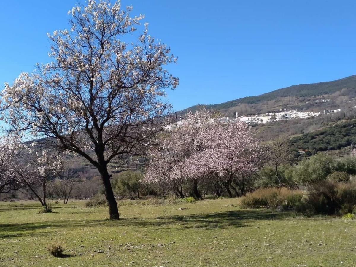 Villa Castano Real Atalbeitar Exterior foto